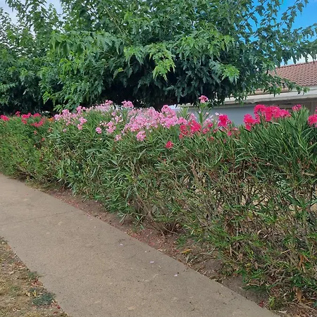 Mini 200 M De La Сasa de vacaciones Cervione