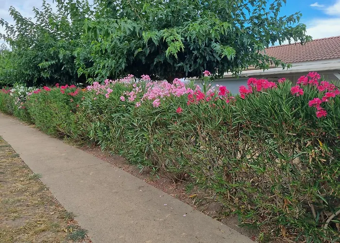 Mini 200 M De La Prázdninový dům Cervione